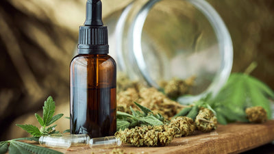 CBN: Wirkung des aufstrebenden Cannabinoids und seine Rolle in Deutschland