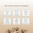 3-Fach-Komplex Vitalpilzextrakt Vitalpilze Lucky Hemp