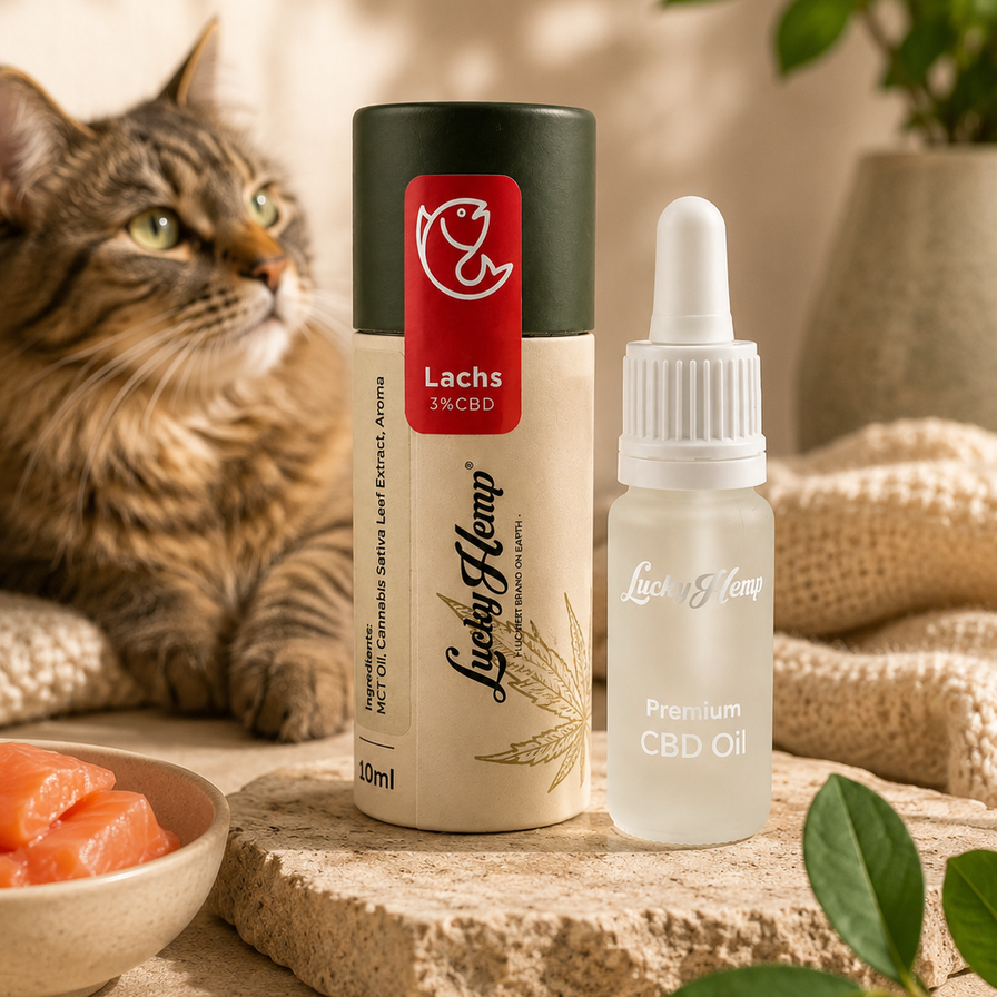 Lachs CBD-Öl Öle Lucky Hemp