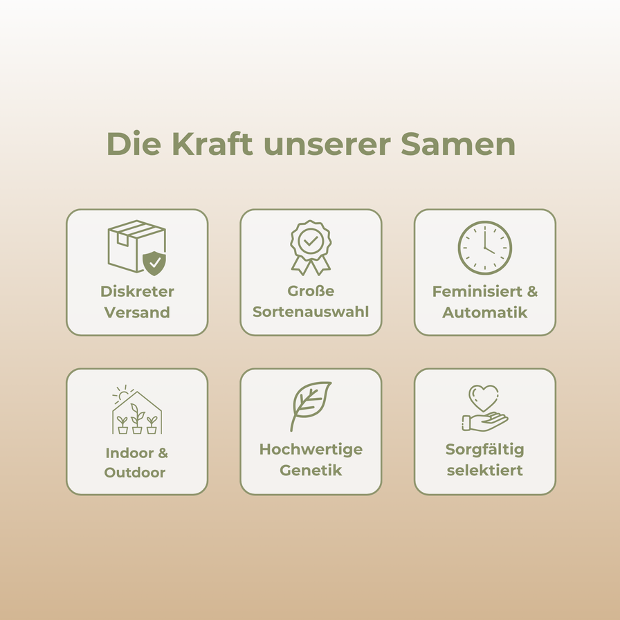 AK47 Samen Automatik Samen Lucky Hemp