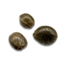 3x Amnesia CBD Samen Feminisiert Samen Lucky Hemp