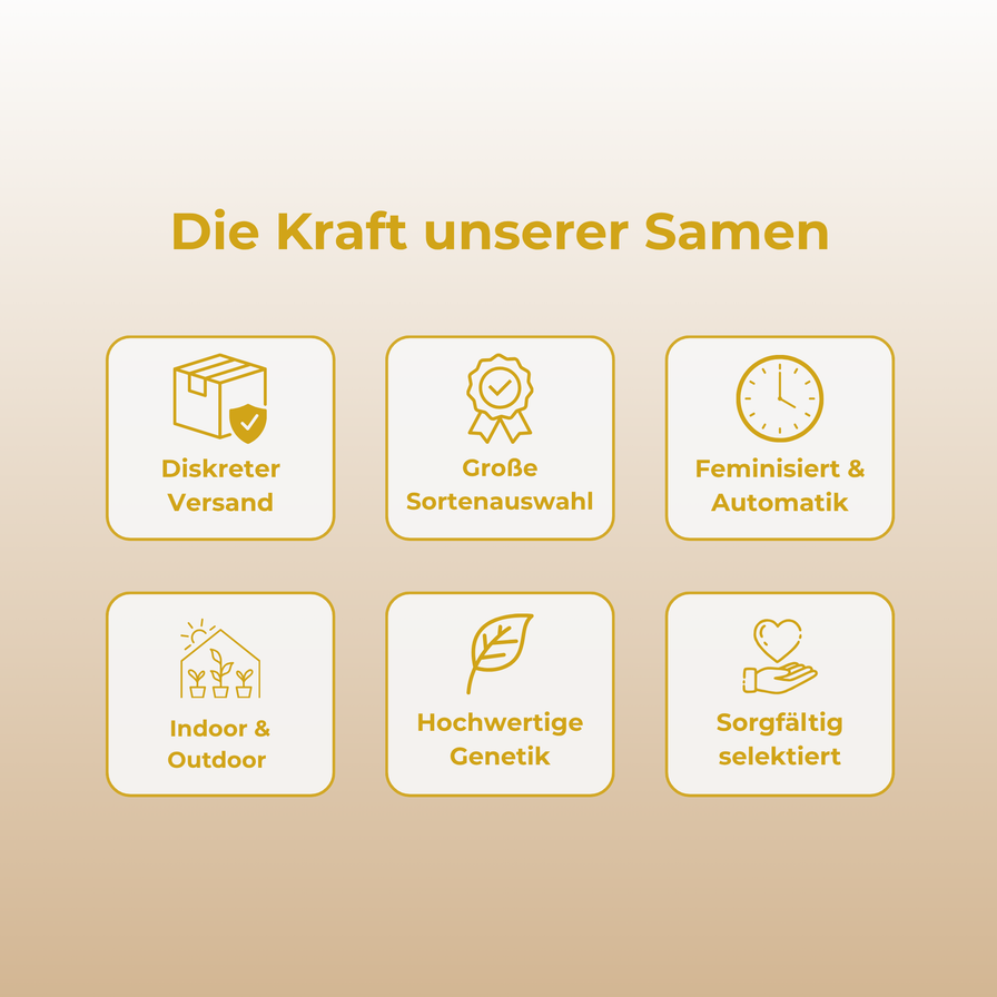 Black Lemon Samen Automatik Samen Lucky Hemp