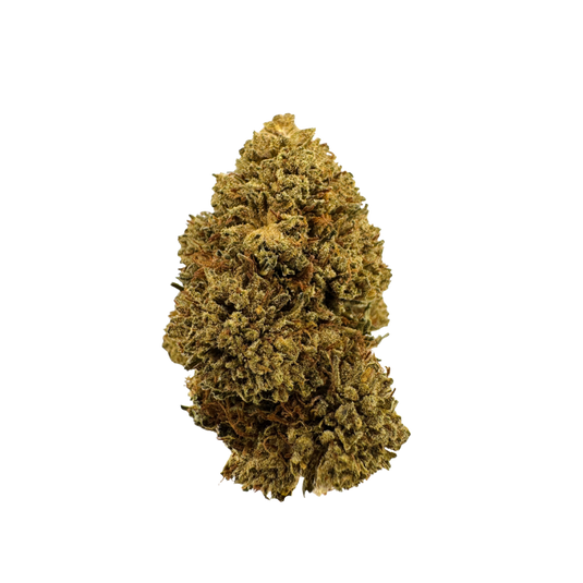 Northern Lights Ökopack Blüten Lucky Hemp