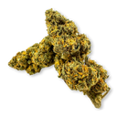 Strawberry Haze Ökopack Blüten Lucky Hemp