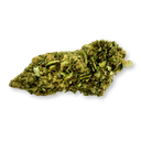 Northern Lights Ökopack Blüten Lucky Hemp