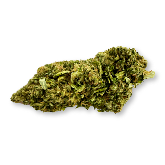 Northern Lights Ökopack Blüten Lucky Hemp