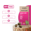 Bubble Gum Samen Feminisiert Samen Lucky Hemp