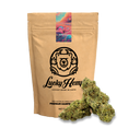 Bubblegum CBD Ökopack Blüten Lucky Hemp