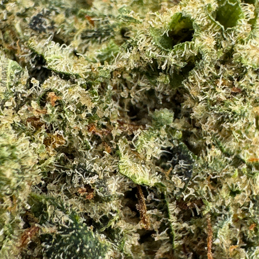 Bubblegum CBD Ökopack Blüten Lucky Hemp
