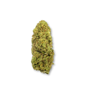 Cheddar OG Ökopack Blüten Lucky Hemp