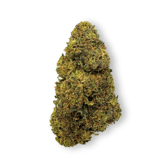Tropical Haze Ökopack Blüten Lucky Hemp