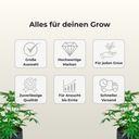 Carson Mikroskop MicroBrite Plus MM-300 Growzubehör Lucky Hemp