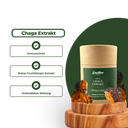 Chaga Vitalpilzextrakt Vitalpilze Lucky Hemp