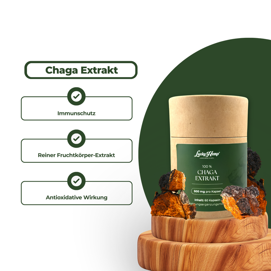Chaga Vitalpilzextrakt Vitalpilze Lucky Hemp