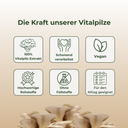 Chaga Vitalpilzextrakt Vitalpilze Lucky Hemp