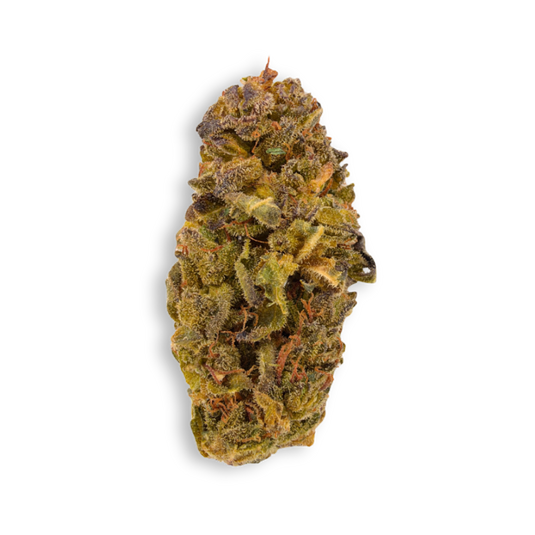 Columbian Magic Ökopack Blüten Lucky Hemp