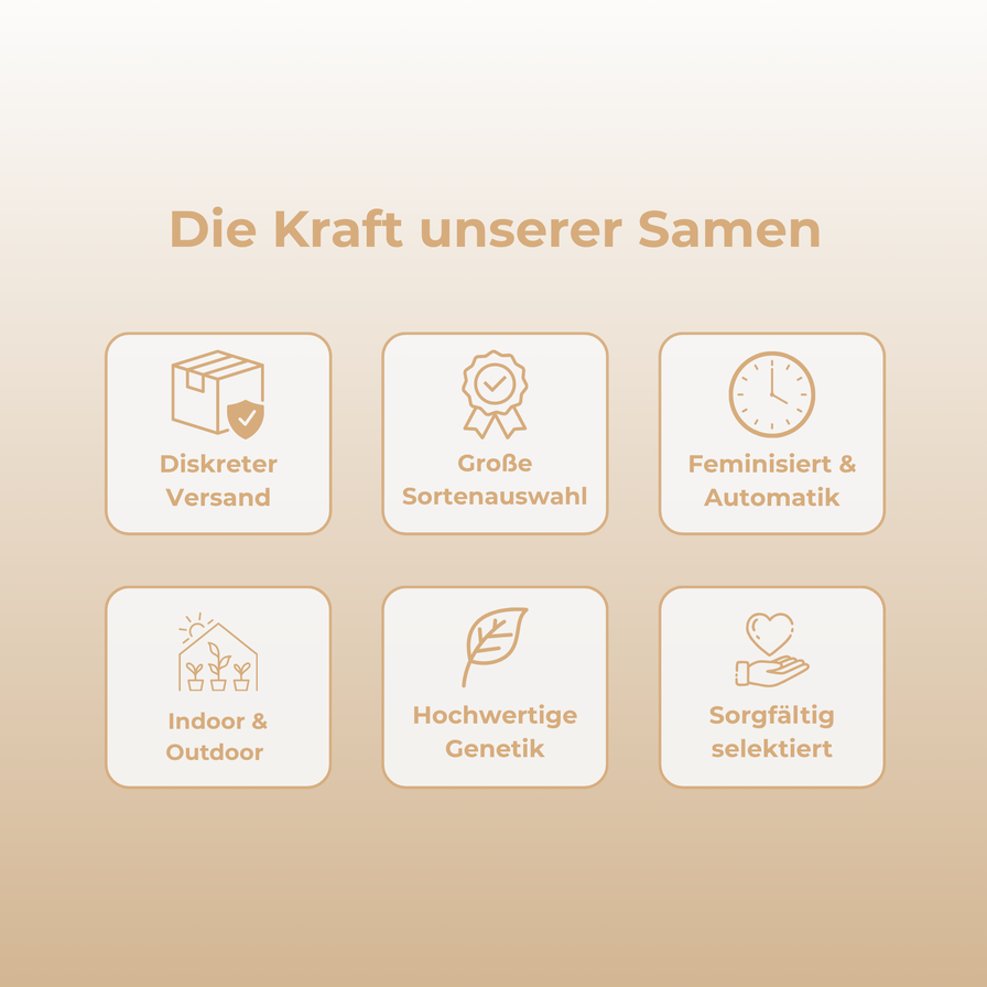 Cookies & Cream Samen Feminisiert Samen Lucky Hemp