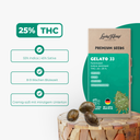 Gelato 33 Samen Feminisiert Samen Lucky Hemp