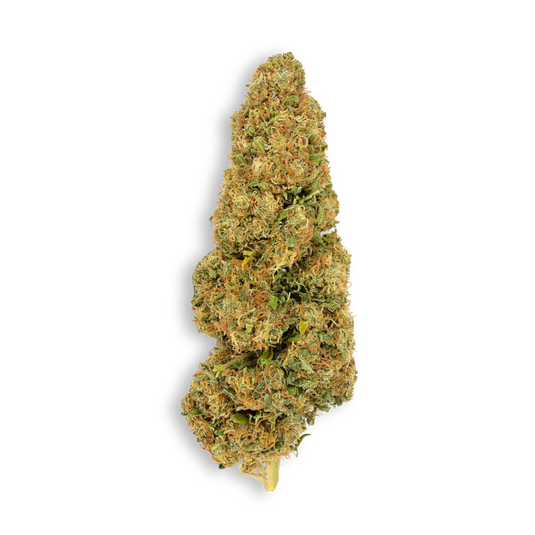Godzilla Ökopack