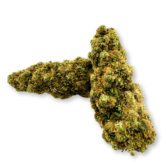 Godzilla Ökopack Blüten Lucky Hemp