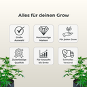 Growbox Komplettset 80x80 Growzubehör Lucky Hemp