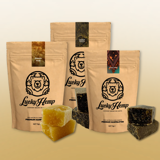 Hash Power-Bundle Blüten Lucky Hemp