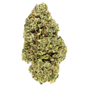 Sunset Sherbet Ökopack Blüten Lucky Hemp