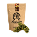 Gratis: Lemon Cherry Gelato Ökopack Blüten Lucky Hemp