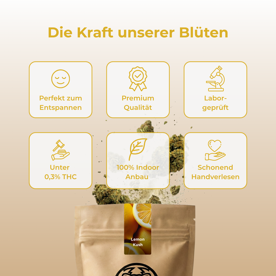 Lemon Kush Ökopack Blüten Lucky Hemp