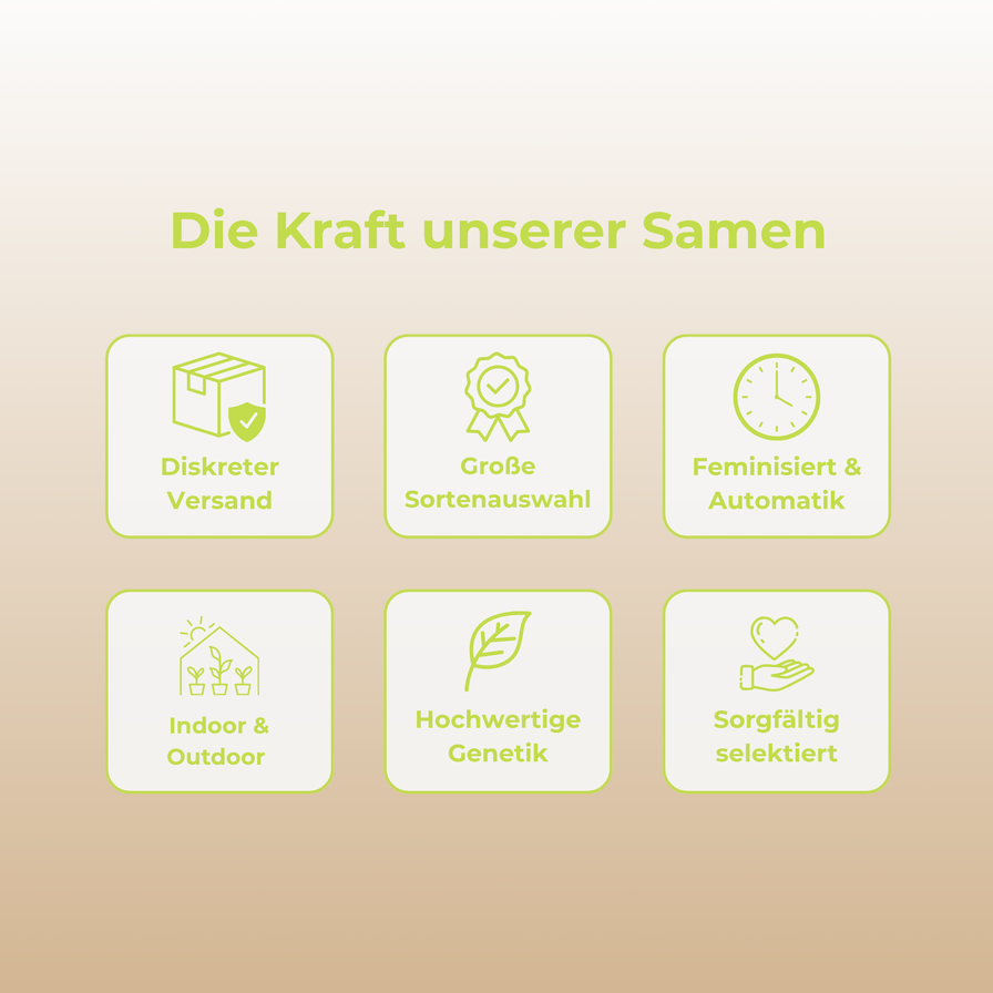 Lemon Lime Samen Automatik Samen Lucky Hemp