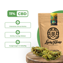 Sparfuchs-Bundle Blüten Lucky Hemp