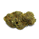 Master Dwarf Cali Pack Blüten Lucky Hemp   