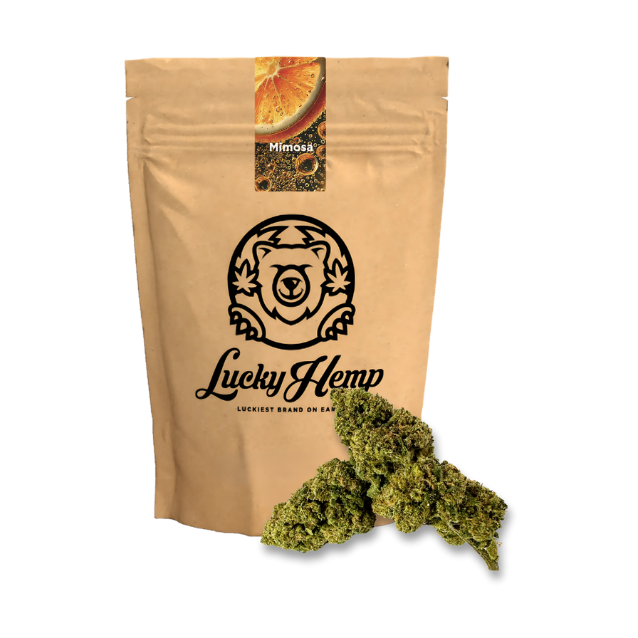 Mimosa Ökopack Blüten Lucky Hemp