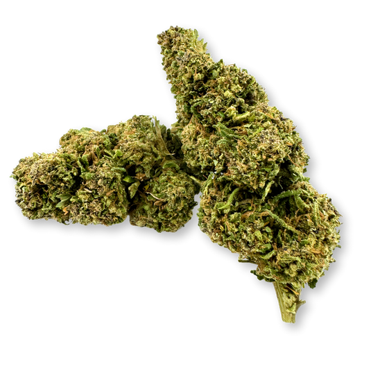 Moby Dick Ökopack Blüten Lucky Hemp