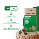 OG Kush Samen Feminisiert Samen Lucky Hemp