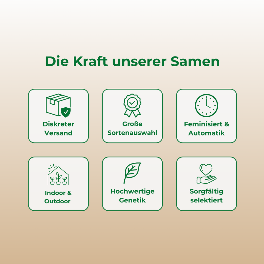 OG Kush Samen Feminisiert Samen Lucky Hemp