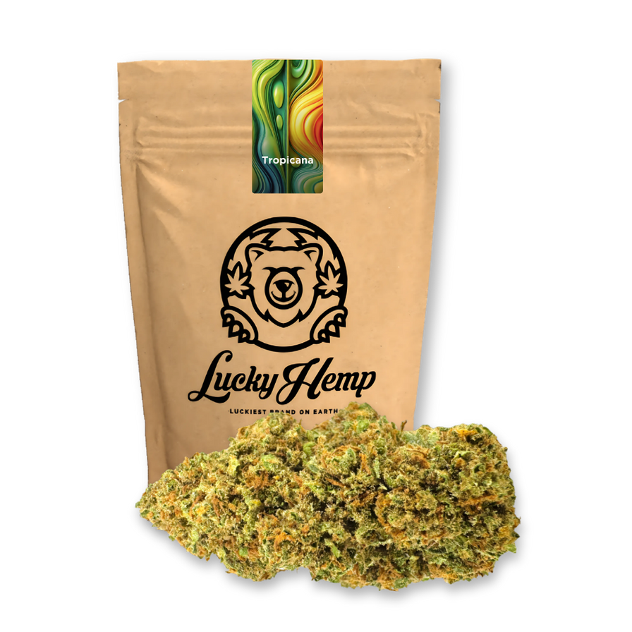 Tropicana Ökopack Blüten Lucky Hemp