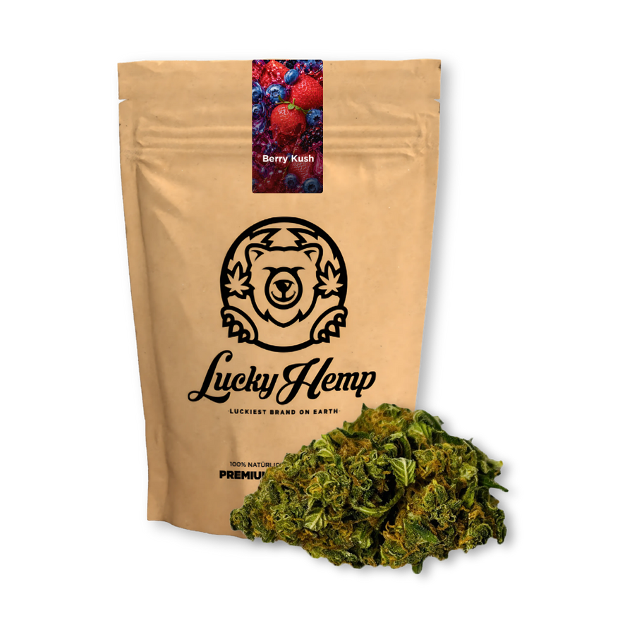 Berry Kush Ökopack Blüten Lucky Hemp