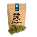 Blueberry Haze Ökopack Blüten Lucky Hemp