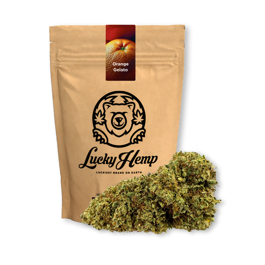 Orange Gelato Ökopack Blüten Lucky Hemp
