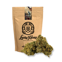 Trump OG Ökopack Blüten Lucky Hemp