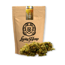Lemon Cake Ökopack Blüten Lucky Hemp