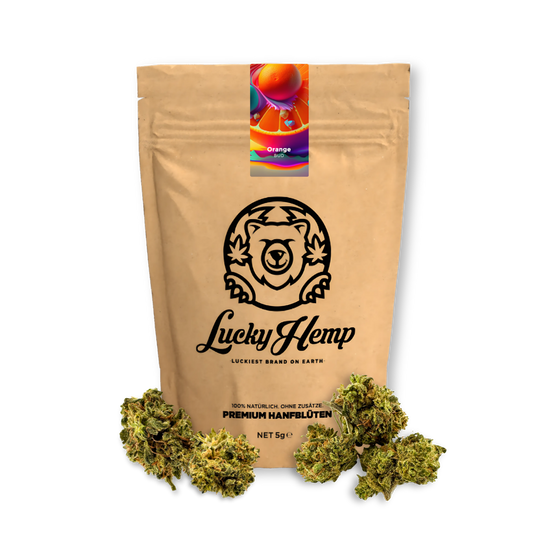 Popcorn Blüten Ökopack Blüten Lucky Hemp 10g Orange Bud