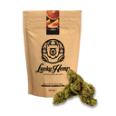 Gratis: Orange Haze Ökopack Blüten Lucky Hemp