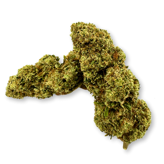 Orange Gelato Ökopack Blüten Lucky Hemp