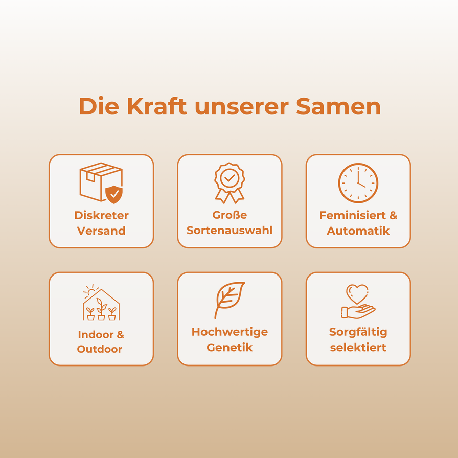 Orange Mimosa (FAST Version) Samen Feminisiert Samen Lucky Hemp