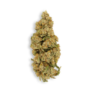 Oreoz Ökopack