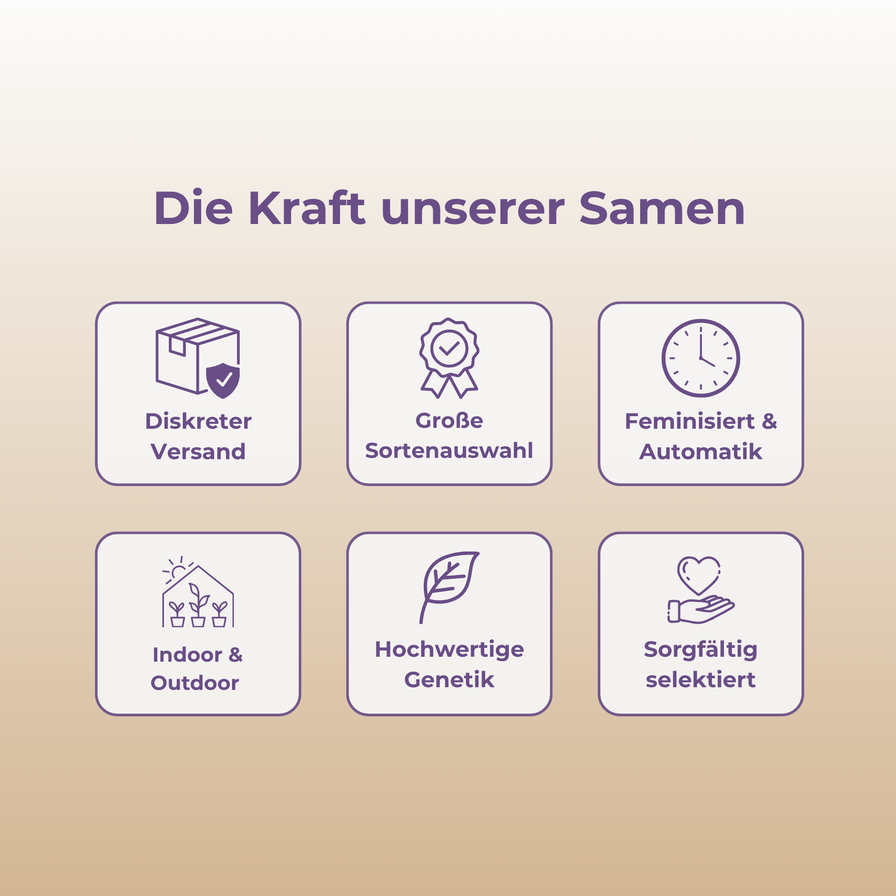 Permanent Marker Samen Feminisiert Samen Lucky Hemp
