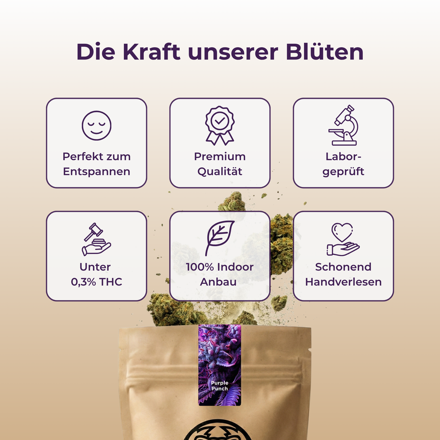 Purple Punch Ökopack Blüten Lucky Hemp