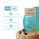 Rainbow Zizi Samen Automatik Samen Lucky Hemp
